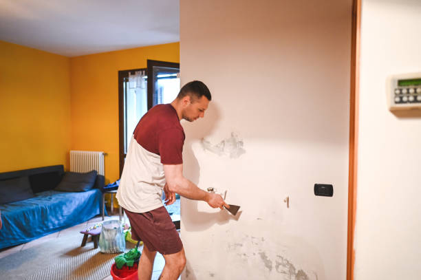Best Mold Removal Company Near Me  in Fetters Hot Springs Agua Liente, CA
