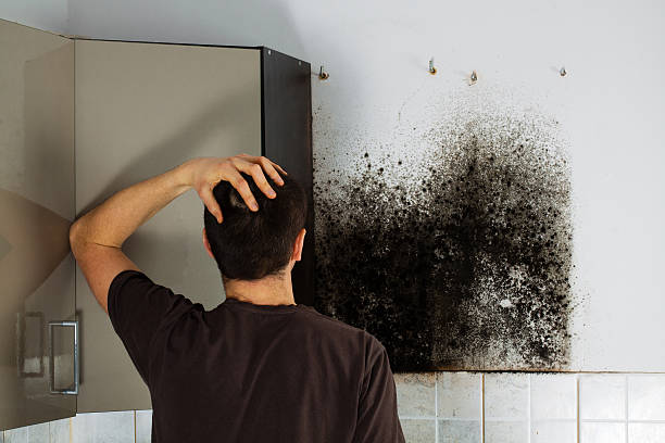 Best Certified Mold Removal  in Fetters Hot Springs Agua Liente, CA