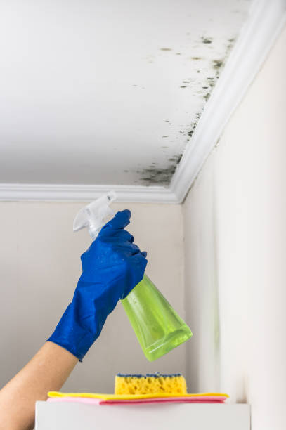 Crawl Space Mold Removal in Fetters Hot Springs Agua Caliente, CA